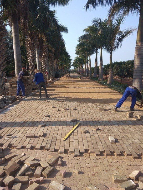 Herringbone paver driveway